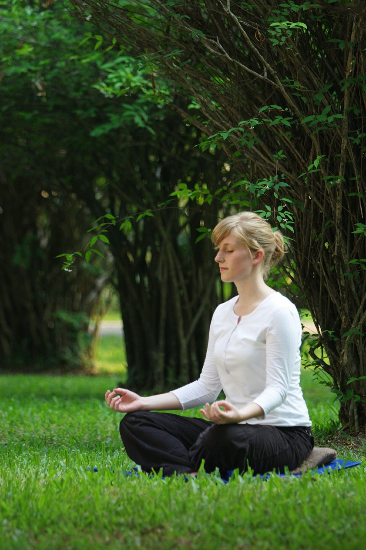 aprende meditar