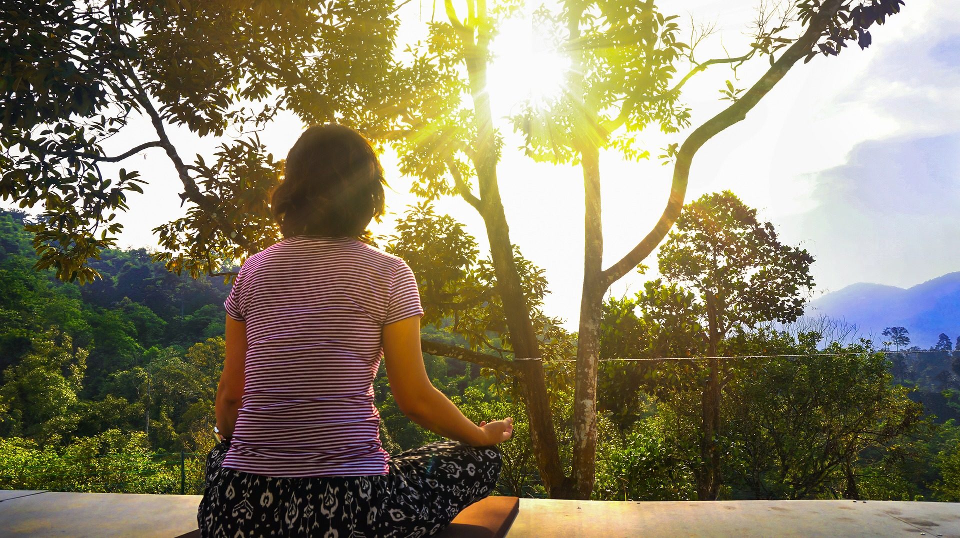 meditación budista
