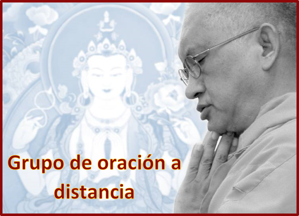LZR oraciones distancia