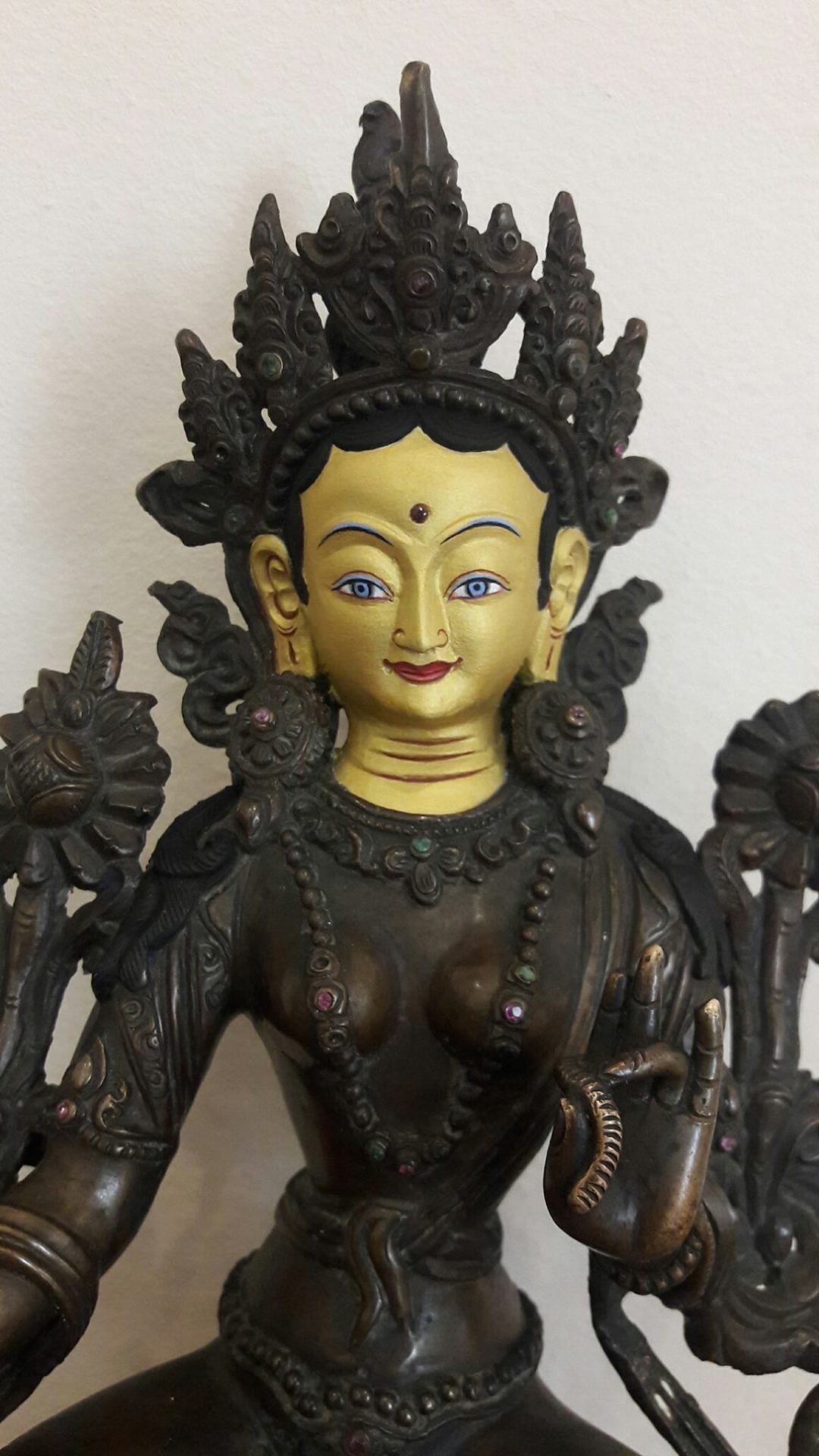 Tara 1