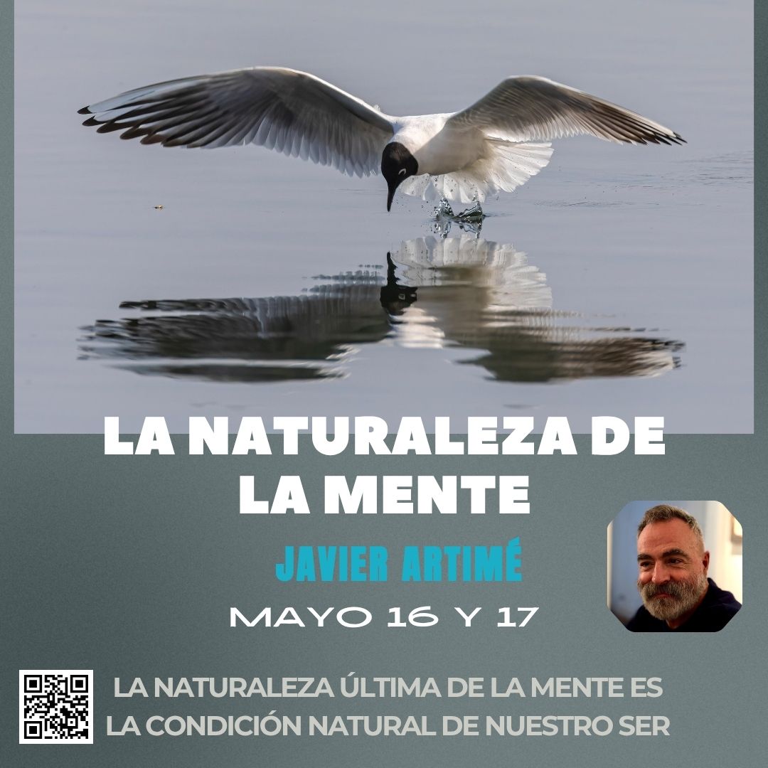 JAVIER ARTIME. NATURALEZA DE LA MENTE